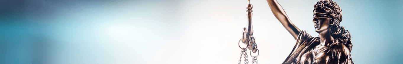 LITIGATION, ARBITRATION AND MEDIATION