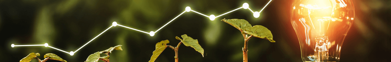 Venture Capital e Corporate Venturing